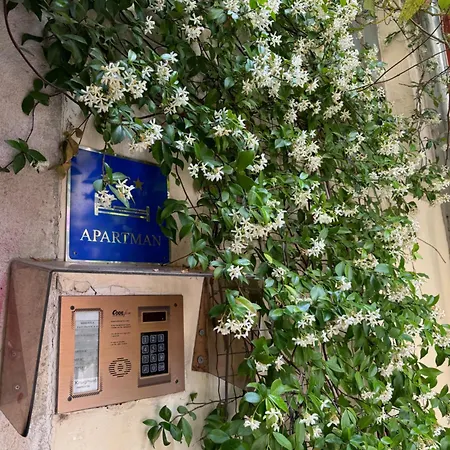 Apartment Pebble